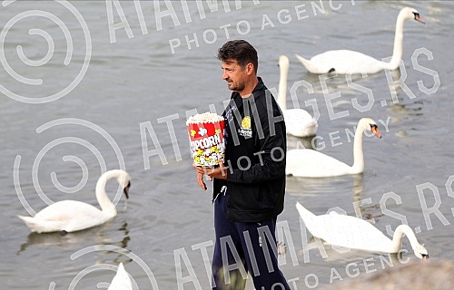 Former volleyball player Vanja Grbic and her family feed swans on the promenade on May 25 on the Danube.Bivsi odbojkas Vanja Grbic sa porodicom hrani labudove na setalistu 25 maj na Dunavu.