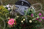 Alley of meritorious citizens at the New Cemetery - grave of Isidore Bjelica Pajkic.Aleja zasluznih gradjana na Novom groblju - grobnica Isidore Bjelice Pajkic.