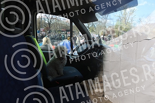 Freelancers protest against the proposal to amend the Law on personal income tax, which was adopted by the Government in front of the National assembly of Serbia.Protest frilensera zbog predloga za izmenu Zakona o porezu na dohodak gradjana koji je