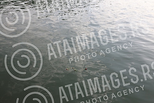 Citizens gathered at the Savanova restaurant, where Matej Peris was filmed going down the Sava River, and as a sign of honor and sorrow with which they sympathize, they threw flowers into the water and released balloons.Gradjani su se okupili kod r
