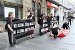 Autonomous Women's Center and Women in Black from Belgrade, in cooperation with member organizations of the Women Against Violence Network, organized a street action 