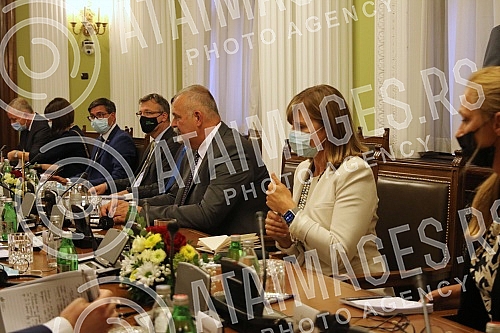 Meeting of the delegation from Slovenia with members of the parliamentary committees for foreign affairs and European integration. Sastanak delegacije iz Slovenije sa clanovima skupstinskih odbora za spoljne poslove i za evropske integracije.