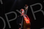 Nenad Vasilic, Serbian double bassist and composer, born in Nis, currently lives and works in Vienna, very important in the sphere of jazz and world music, performed with his trio in Banovina.Nenad Vasilic, srpski kontrabasista i kompozitor, rodjen