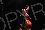 Nenad Vasilic, Serbian double bassist and composer, born in Nis, currently lives and works in Vienna, very important in the sphere of jazz and world music, performed with his trio in Banovina.Nenad Vasilic, srpski kontrabasista i kompozitor, rodjen