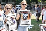 Animal rights protest in front of the Veterinary Administration.Protest za prava zivotinja ispred Uprave za veterinu.