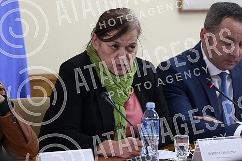 Closing conference of the Twinning project 