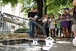 In front of the fountain on Andricev venac, a performance by organizations gathered around the 