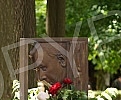 In order to preserve the memory of Petar Kralj - doyen of Serbian actor, great intellectual and fantastic interpreter of poetry, the municipality of Vracar with 