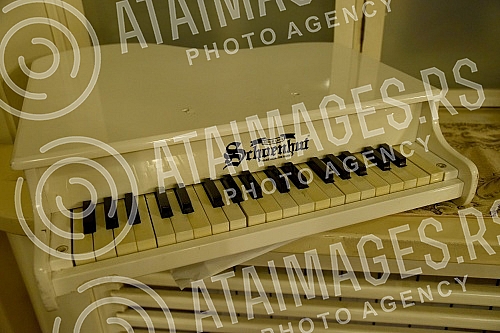 The Nuclear Weapons Peace and Peace Concert, held at the Gvarnerius Institution, is part of a series of concerts organized by the Harmony for Peace and Hope Association. The second new music ensemble puts Belgrade on the map with participants who sen