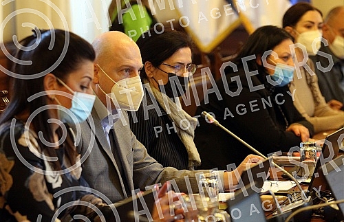 Session of the Committee on Health and Family at which the candidate of the Committee for a member of the Commission for the Control of Execution of Criminal Sanctions was proposed.Sednica Odbora za zdravlje i porodicu na kojoj je predlozen kandida