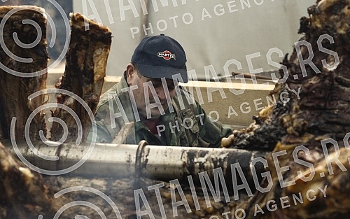 On the occasion of Orthodox New Year at Dorcol beeve was roasted.Povodom Pravoslavne Nove godine na Dorcolu je pecen vo na raznju.