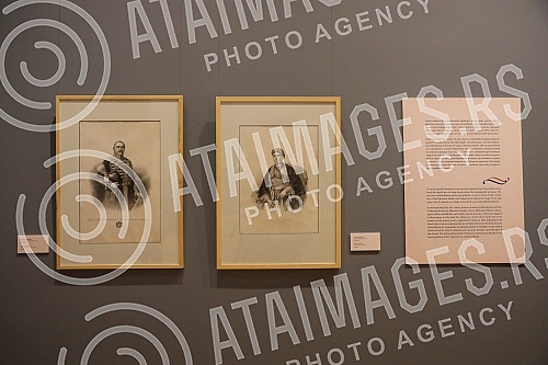 Author's guide through the latest exhibition 