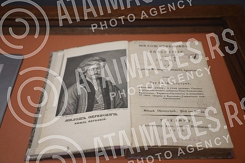 Author's guide through the latest exhibition 