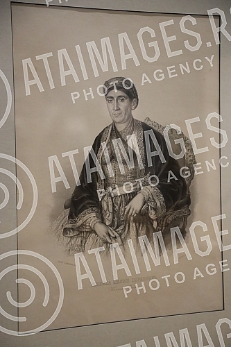 Author's guide through the latest exhibition 