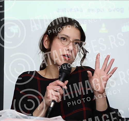 The seventeenth panel discussion within the cycle Angry Films, and the first in the new year, was held in the panel hall of the Belgrade Youth Center, and the topic was the recent cinema hit 