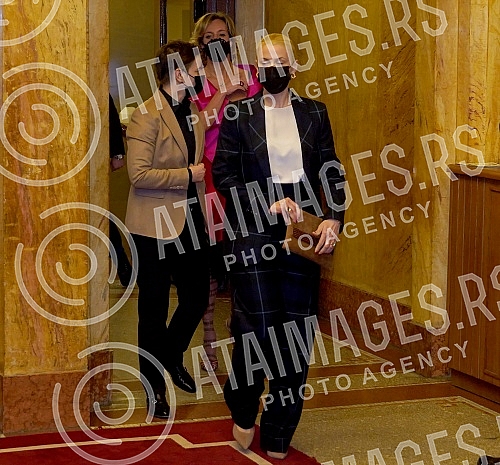 Prominent Serbian and world violinist Nemanja Radulovic and the Belgrade Philharmonic under the direction of conductor Danijel Rajskin held a concert in Kolarac.Istaknuti srpski i svetski violinista Nemanja Radulovic  i Beogradska filharmonija pod 