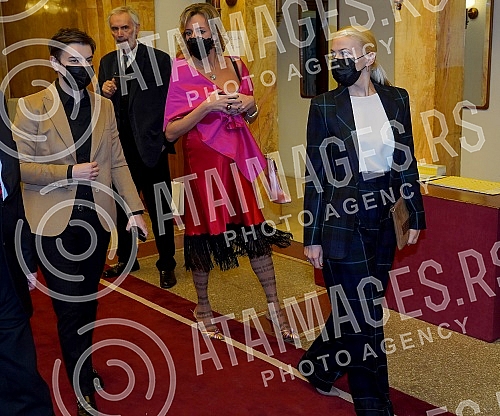 Prominent Serbian and world violinist Nemanja Radulovic and the Belgrade Philharmonic under the direction of conductor Danijel Rajskin held a concert in Kolarac.Istaknuti srpski i svetski violinista Nemanja Radulovic  i Beogradska filharmonija pod 