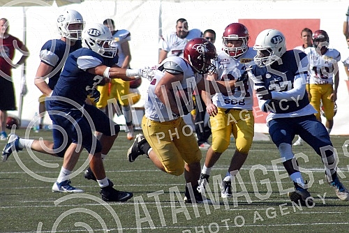Final four Belgrade Europe Champions League odrzan na stadionu Vozdovac (TC Stadion) u Beograd. Prva polufinalna utakmica izmedju SBB Vukovi (Belgrade/Serbia) i London Blitz (Great Britain).