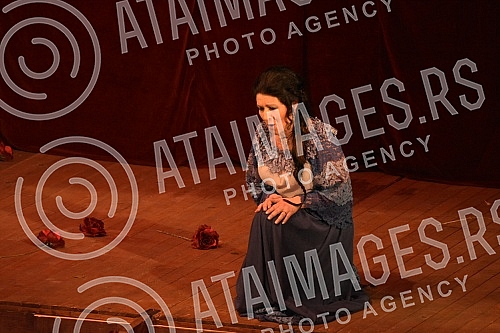 Georges Bizet's famous work, the opera Carmen, premiered at the National Theater in Nis under the baton of conductor Dejan Savic.Cuveno delo Zorza Bizea, opera Karmen, premijerno je izvedena u Narodnom pozoristu Nis pod dirigentskom palicom Dejana 