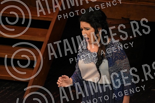 Georges Bizet's famous work, the opera Carmen, premiered at the National Theater in Nis under the baton of conductor Dejan Savic.Cuveno delo Zorza Bizea, opera Karmen, premijerno je izvedena u Narodnom pozoristu Nis pod dirigentskom palicom Dejana 