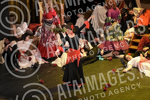 Georges Bizet's famous work, the opera Carmen, premiered at the National Theater in Nis under the baton of conductor Dejan Savic.Cuveno delo Zorza Bizea, opera Karmen, premijerno je izvedena u Narodnom pozoristu Nis pod dirigentskom palicom Dejana 