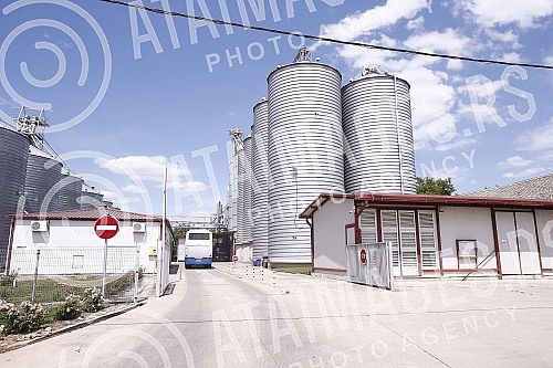 The Minister for the care of the village, Milan Krkobabic, visited the municipality of Zitiste, where he opened the Second Summer Cooperative School in the village of Srpski Itebej, which is being held in the agricultural cooperative Mrksicevi salasi
