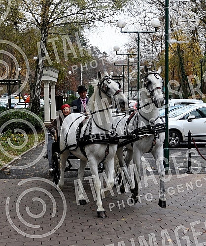 Ana Bekuta with the media before the second concert, on December 29th at the Sava Center and on the occasion of the announcement of her appearance at Topciderac restaurant for the New Year.na Bekuta sa medijama pred drugi koncert, 29. decembra u Sav