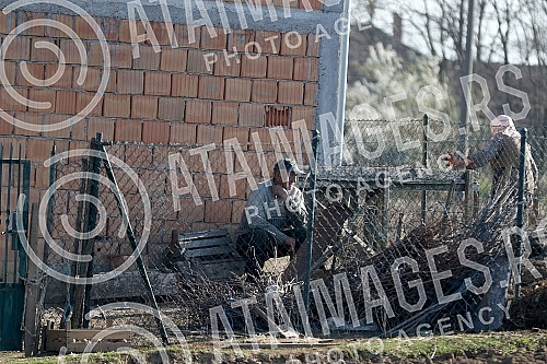 Life in Smederevska Palanka - Senior citizens respect the ban on going out and staying only in their yard and on their landZivot u Smederevskoj Palanci - stariji sugradjani postuju zabranu kretanja i borave samo u svom dvoristu i na svojoj zemlji.