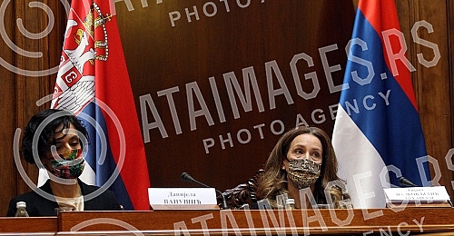 A public debate on the draft law on museum activities was held in the National assembly.U Narodnoj skupstini odrzana javna rasprava povodom Nacrta zakona o muzejskoj delatnosti.