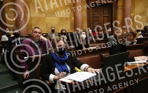 A public debate on the draft law on museum activities was held in the National assembly.U Narodnoj skupstini odrzana javna rasprava povodom Nacrta zakona o muzejskoj delatnosti.