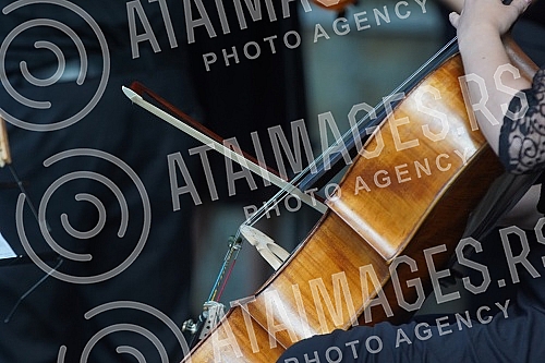 The Muzikon orchestra and Stefan Milenkovic held a 