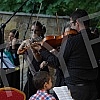 The Muzikon orchestra and Stefan Milenkovic held a 