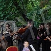 The Muzikon orchestra and Stefan Milenkovic held a 