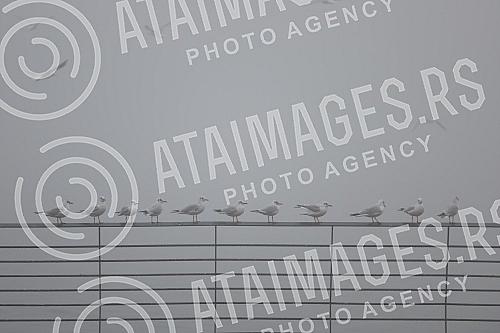 City pollution mixed with morning fog, Belgrade cityscape.Zagadjenje grada pomesano sa jutarnjom maglom, gradski pejzaz Beograda.