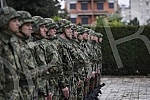 Professor Zoran Stankovic, President of the Coordination Body for the Municipalities of Presevo, Bujanovac and Medvedja, was buried in the Alley of Merited Citizens at the New Cemetery in Belgrade, with military honors.Profesor Zoran Stankovic, pre
