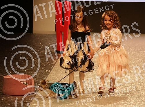 Fashion show of clothes for pets by Irena Atanaskovic.Modna revija odece za kucne ljubimce by Irena Atanaskovic.
