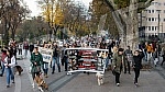 A No Back protest was held in Nis, which is part of a joint struggle for all animals throughout Serbia, for the absolute implementation of the Animal Welfare Law and the Veterinary Law without changing the laws and strategies, for the humane solution