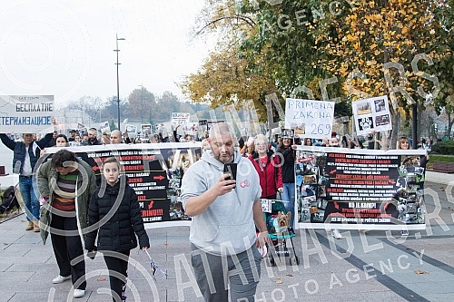 A No Back protest was held in Nis, which is part of a joint struggle for all animals throughout Serbia, for the absolute implementation of the Animal Welfare Law and the Veterinary Law without changing the laws and strategies, for the humane solution