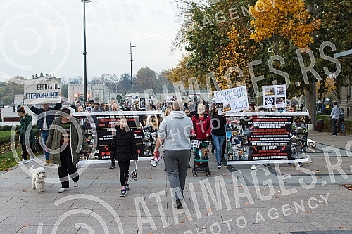 A No Back protest was held in Nis, which is part of a joint struggle for all animals throughout Serbia, for the absolute implementation of the Animal Welfare Law and the Veterinary Law without changing the laws and strategies, for the humane solution