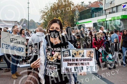 A No Back protest was held in Nis, which is part of a joint struggle for all animals throughout Serbia, for the absolute implementation of the Animal Welfare Law and the Veterinary Law without changing the laws and strategies, for the humane solution
