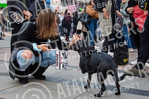 A No Back protest was held in Nis, which is part of a joint struggle for all animals throughout Serbia, for the absolute implementation of the Animal Welfare Law and the Veterinary Law without changing the laws and strategies, for the humane solution