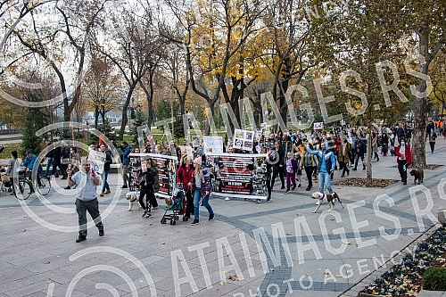 A No Back protest was held in Nis, which is part of a joint struggle for all animals throughout Serbia, for the absolute implementation of the Animal Welfare Law and the Veterinary Law without changing the laws and strategies, for the humane solution
