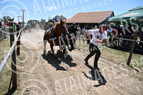 In the valley of the West Morava in the village of Tavnik, halfway between Kraljevo and Cacak, the Straparijada was held, one of the largest in this part of the country.U dolini Zapadne Morave u selu Tavnik, na pola puta izmedju Kraljeva i Cacka, o