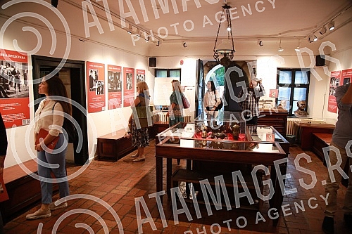 The Deputy Prime Minister of the Republic of Serbia and Minister of Culture and Information Maja Gojkovic opened the exhibition 