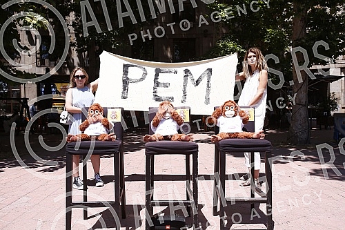 The Kreni-promeni movement and the Association for the Protection of Constitutionality and Legality organized a performance and a press conference in front of REM on the occasion of petitions to take away the frequency from Happy and Pink televisions