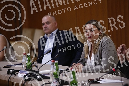 Minister of Village Care, Co-President of the National Team for the Revival of Serbian Villages, working meeting, directors of accredited regional development agencies, promotion of regional rural development, survival of the Serbian village.Minist