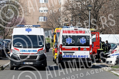 In a fire early this morning, six people were killed and six injured in a tapeworm in Milutin Milankovic Boulevard in New Belgrade, the Interior Ministry said.U pozaru rano jutros u soliteru u Bulevaru Milutina Milankovica u Novom Beogradu, smrtno j