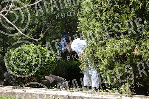 Pensioner Bozidar D. (77) at the morning in a village near Golubac - Baric killed three and then in the yard of the church committed suicide.