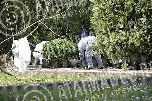 Pensioner Bozidar D. (77) at the morning in a village near Golubac - Baric killed three and then in the yard of the church committed suicide.