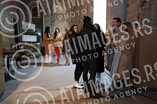 Opening of the second solo exhibition of the multimedia artist Vera Vuksanovic entitled 